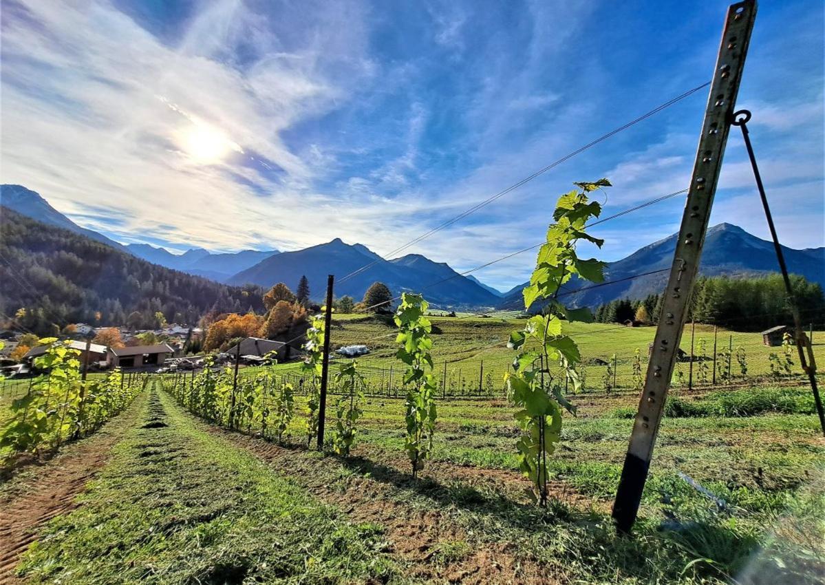 Apartamento Der Trueferhof Ehrwald Exterior foto