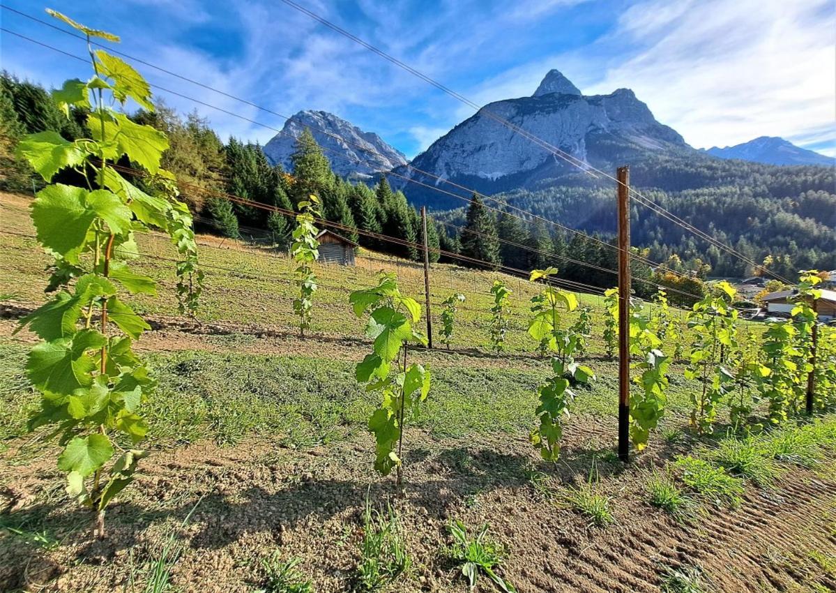 Apartamento Der Trueferhof Ehrwald Exterior foto